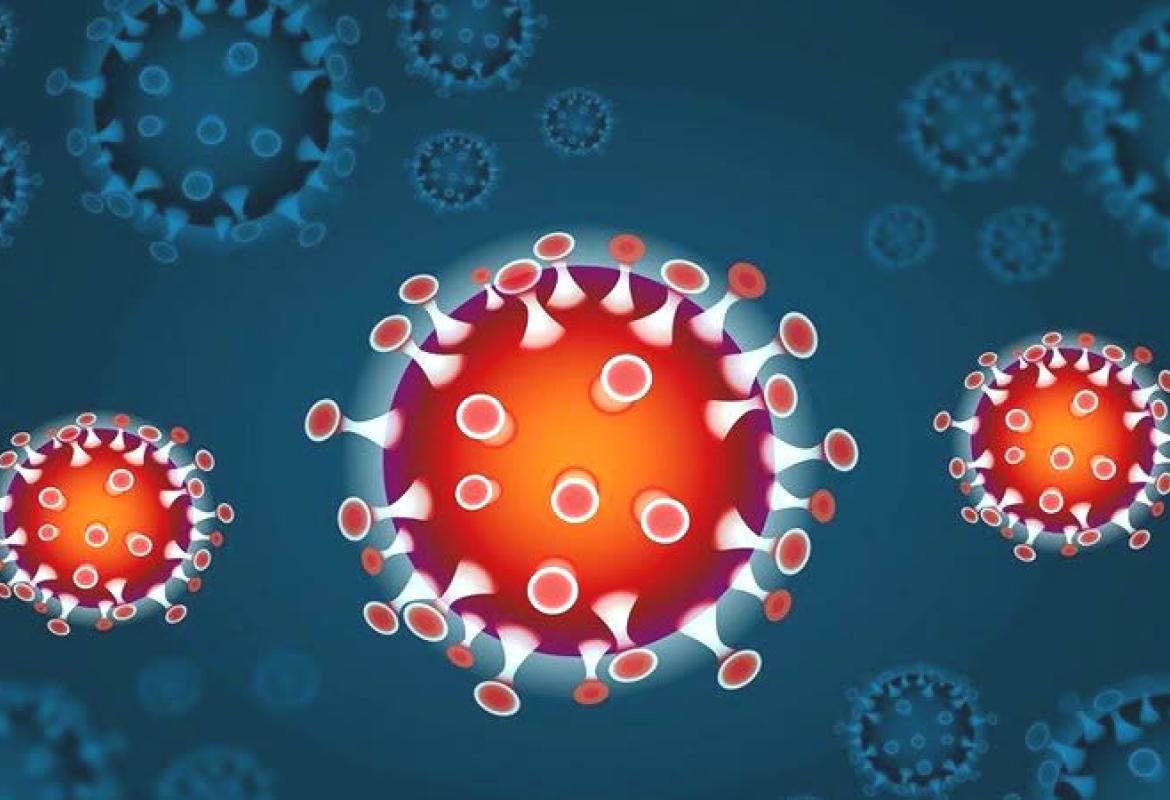 COVID-19. Puglia sempre a zero nuovi casi