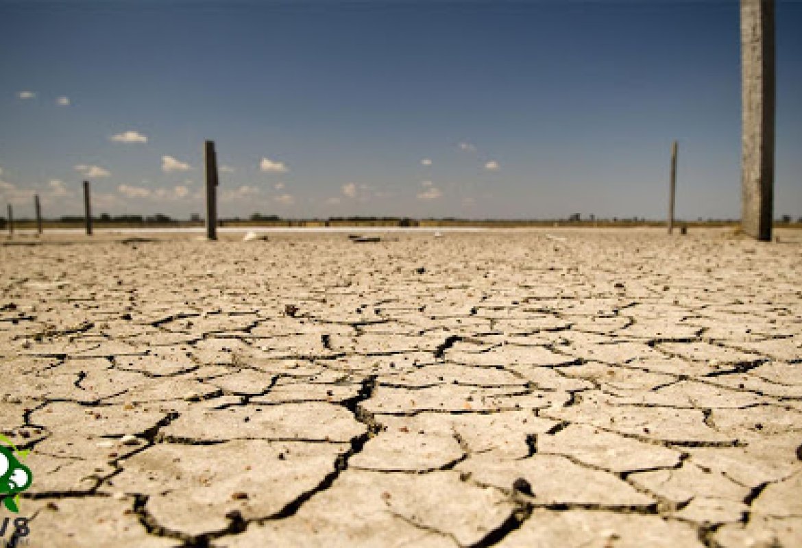 Si aggrava il rischio di desertificazione della Puglia