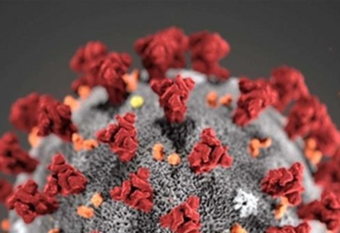 COVID-19. Nessun galatinese fra i 33 attualmente positivi nella provincia di Lecce