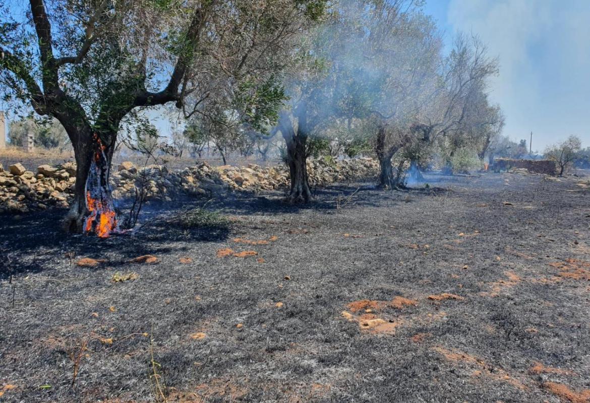 Fiamme sulla Galatina-Lecce. Quando verranno individuati i piromani?