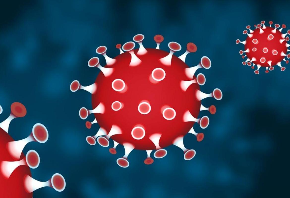 COVID-19. Sette positivi fra Bari Brindisi e Foggia