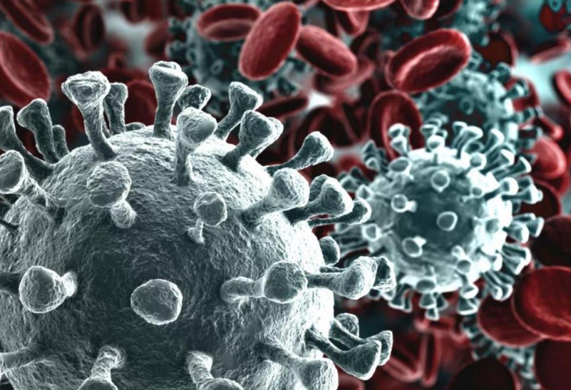 COVID-19. Due nuovi contagiati nel Salento