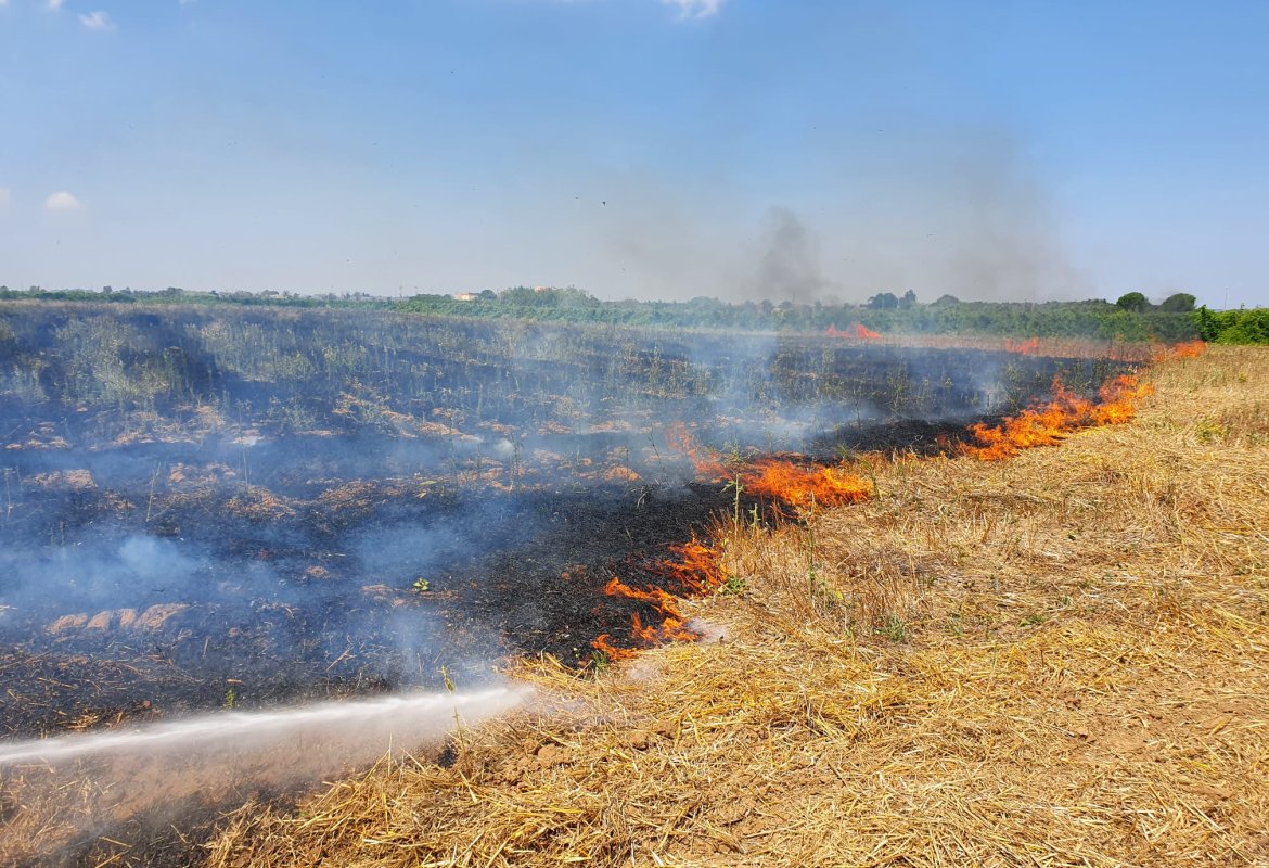 A Galatina gli incendi di Ferragosto