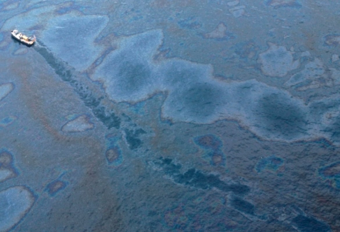 Un batterio ci salverà dall'inquinamento da petrolio