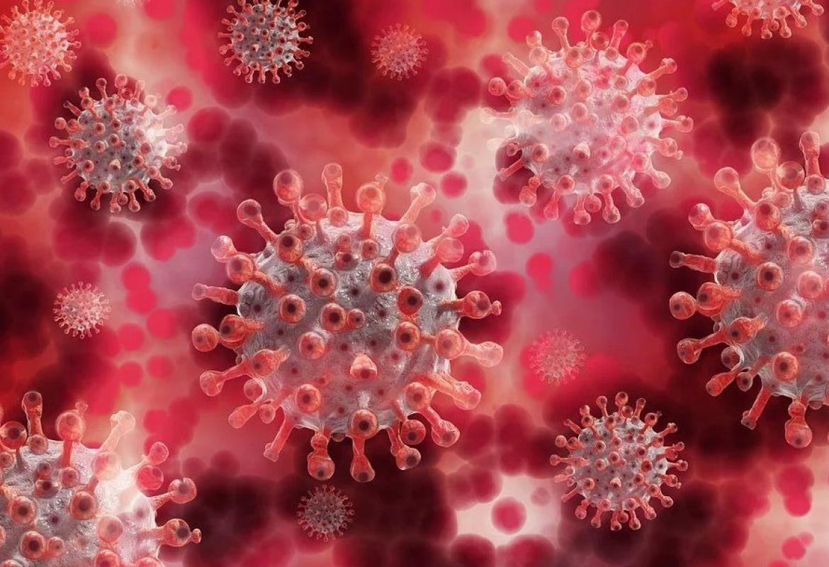 COVID-19. Secondo una ricerca dell'Università di Torino una molecola presente nel colesterolo blocca il virus