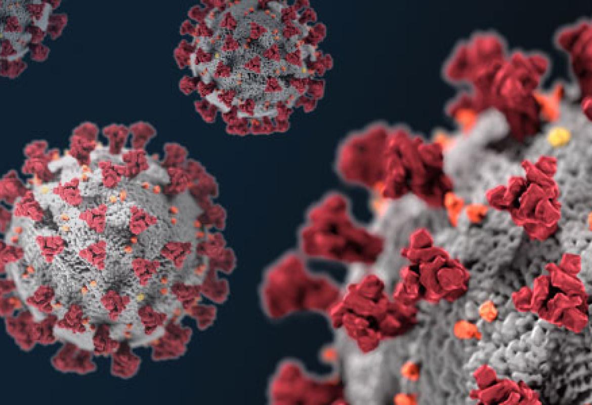 COVID-19. Dodici nuovi casi nel Salento, 49 in Puglia