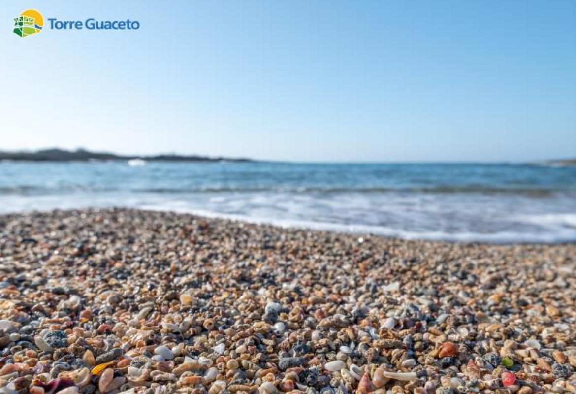 La caletta delle conchiglie a Torre Guaceto: un angolo di paradiso