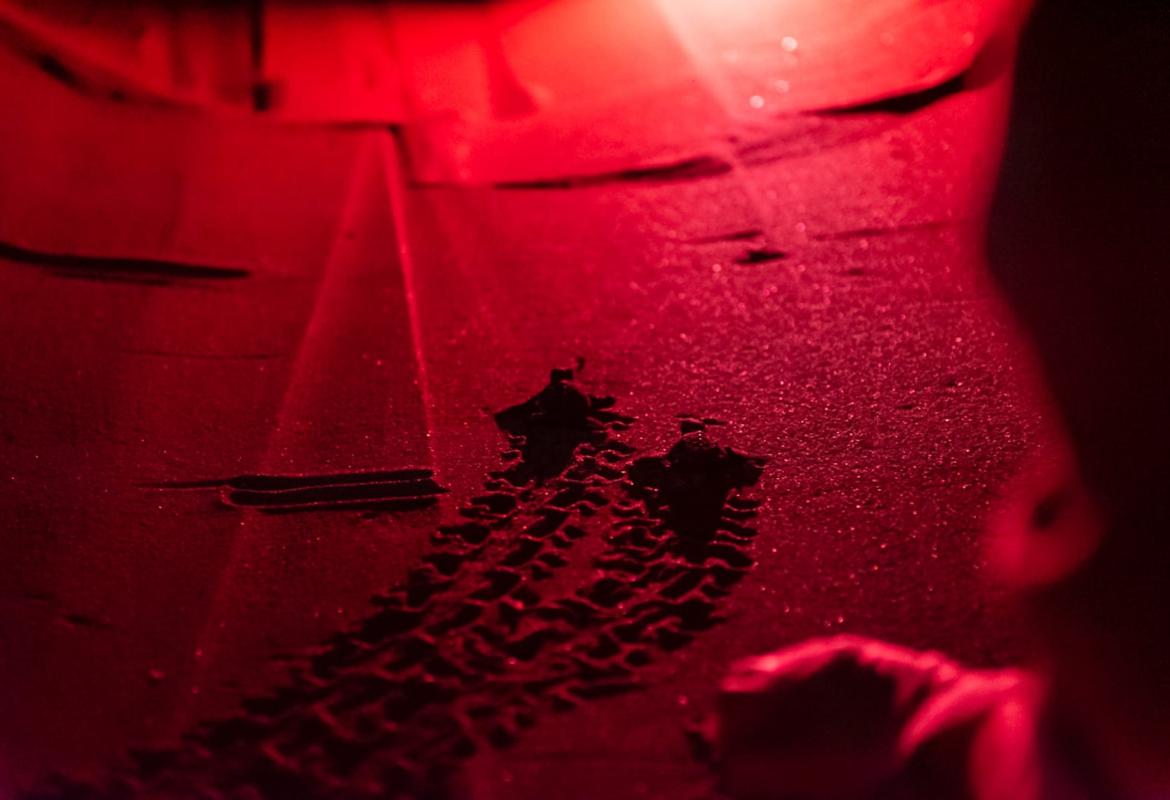 Nate nel Salento altre 28 Caretta caretta