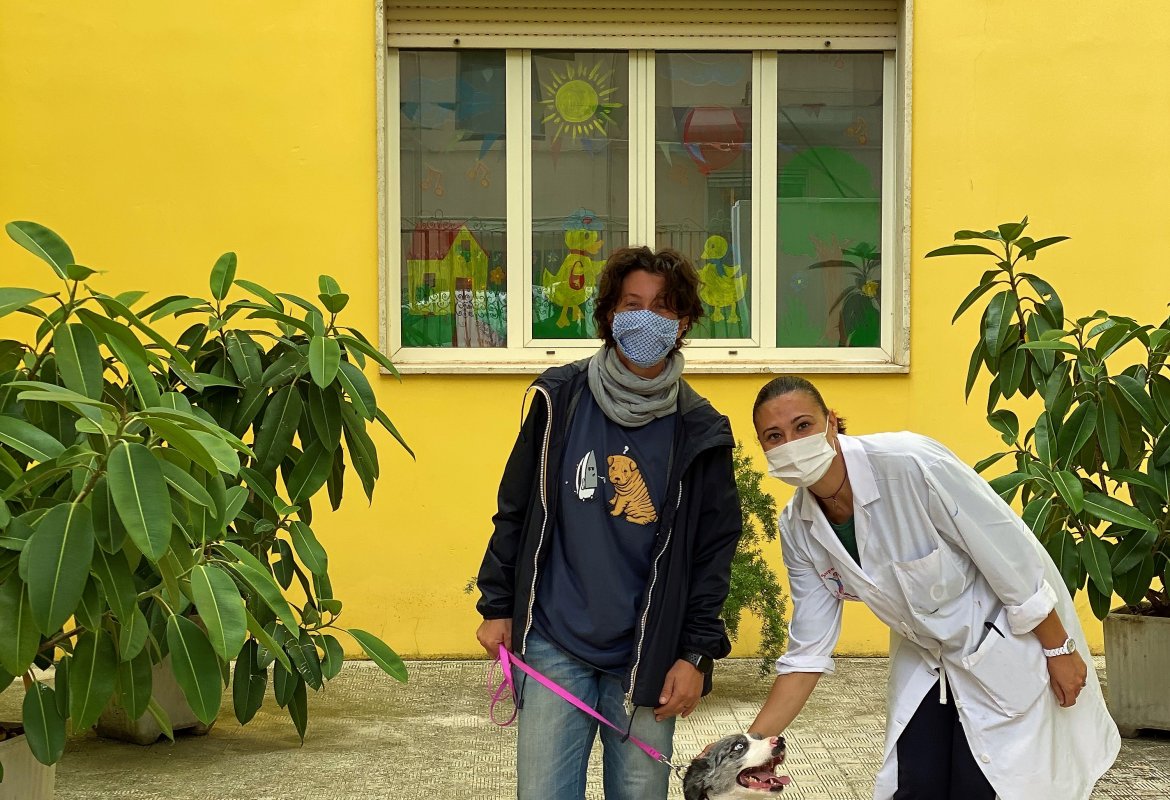 “Qua la zampa, Amico Mio” 