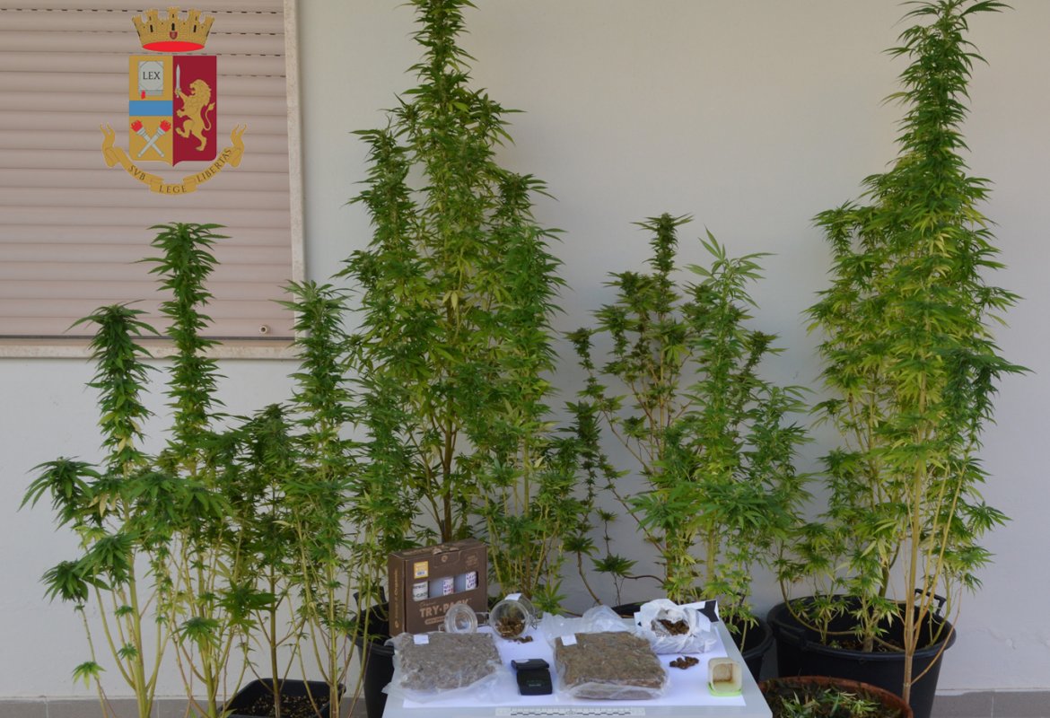 Coltivava marijuana sul terrazzo di casa, ai domiciliari ventiquattrenne di Galatina