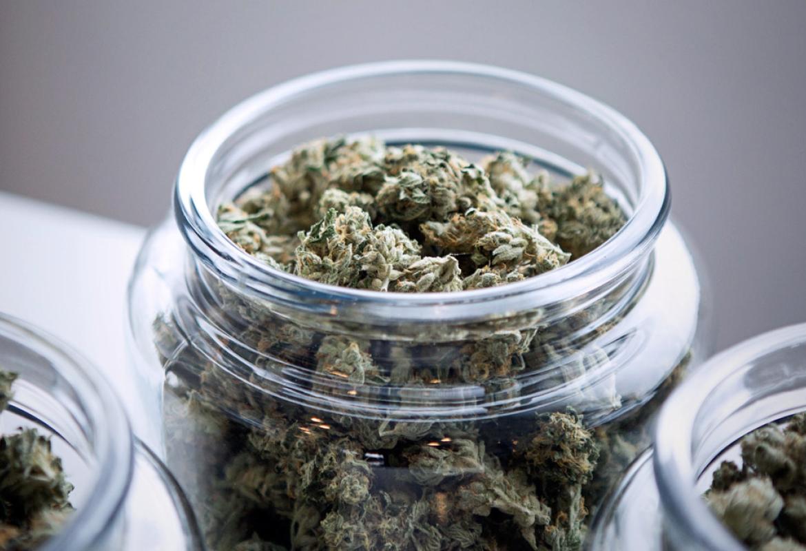Cannabis terapeutica: i preparati galenici sono distribuiti per la Asl dalla Farmacia del PTA di Maglie