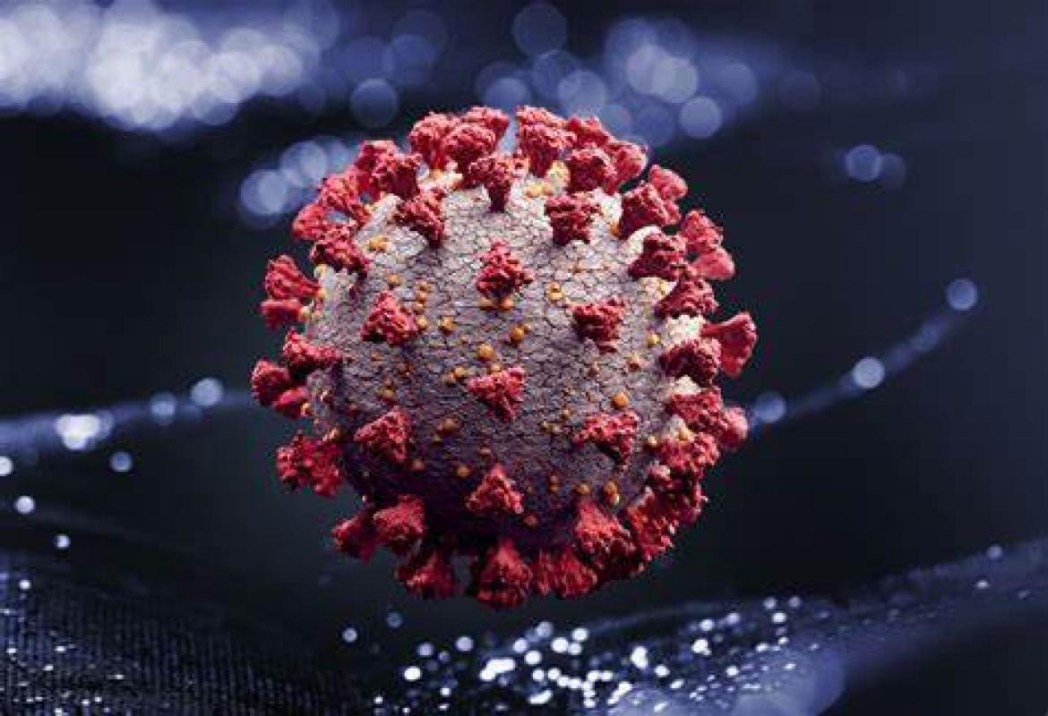 COVID-19. 1044 nuovi casi in Puglia su 4425 test (24%), 71 in provincia di Lecce