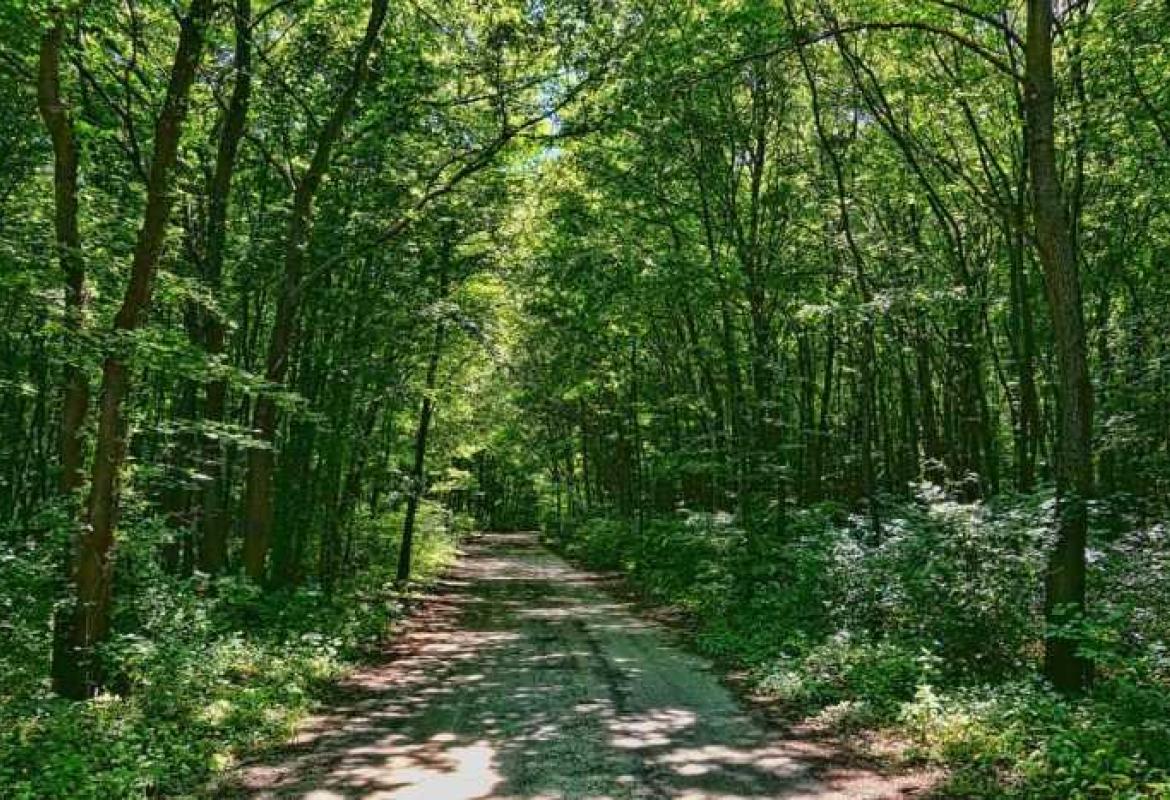 Con il covid migliorata la qualità dell'aria in Puglia