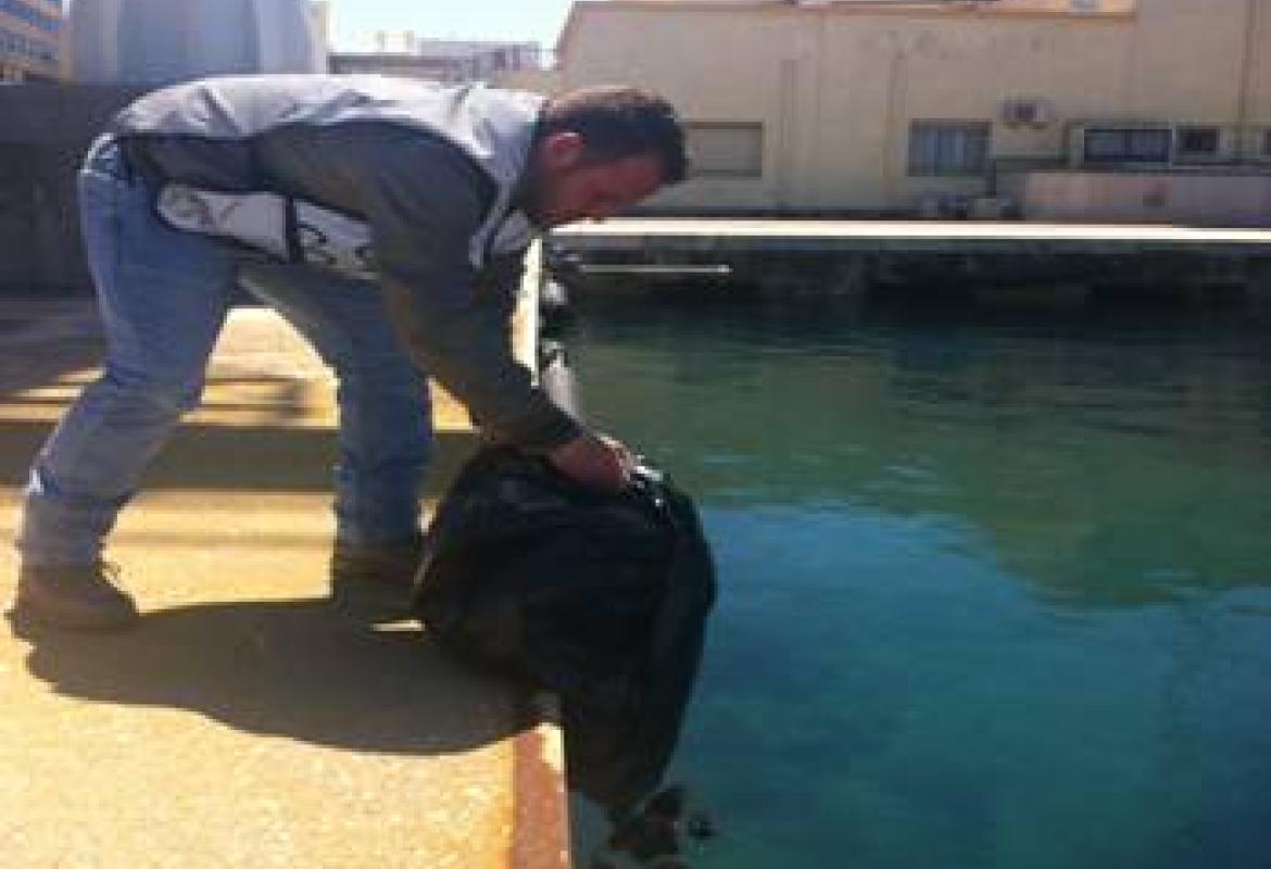 4000 euro di multa per aver raccolto 1500 ricci di mare