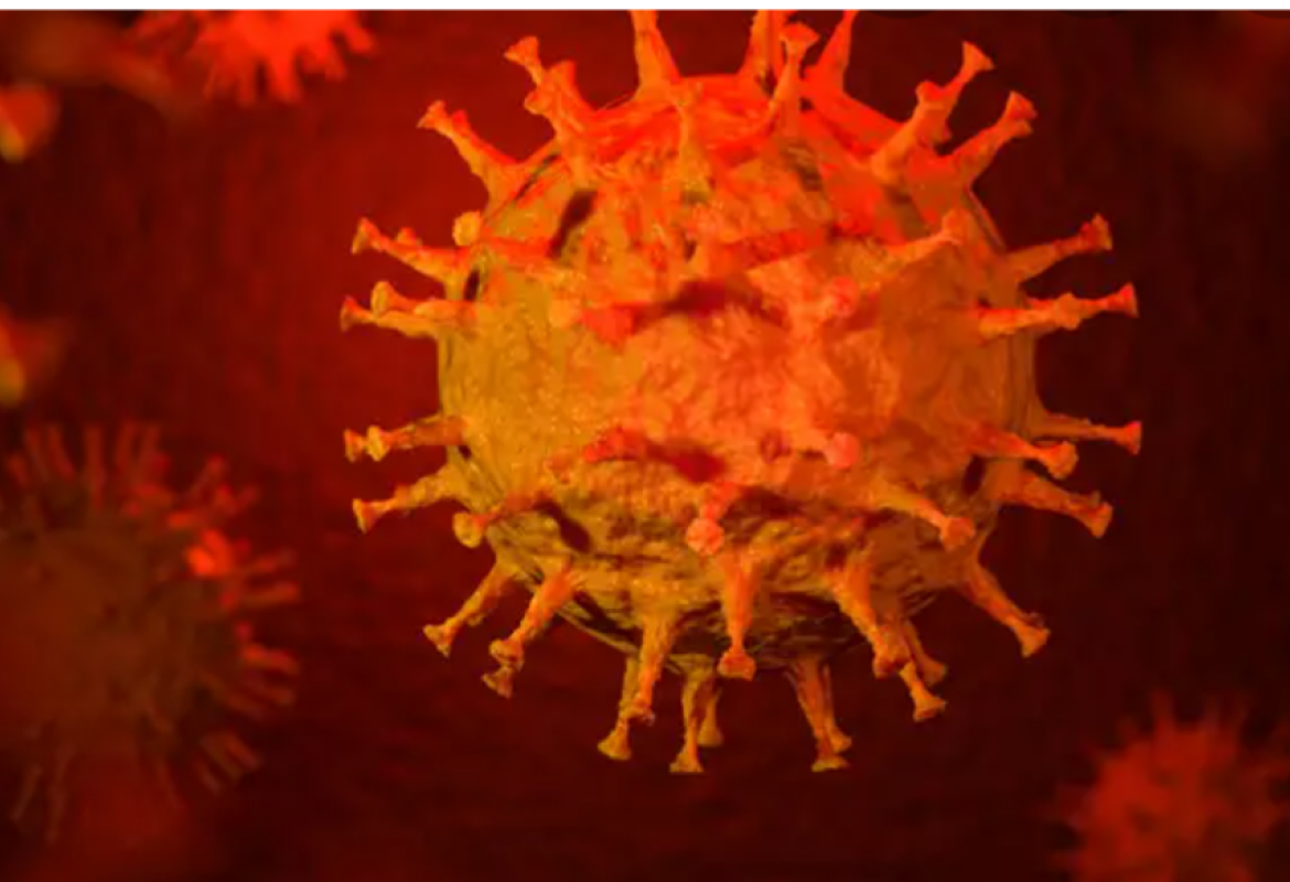 COVID-19. 85 nuovi contagiati nel Salento, 915 in Puglia su 9646 tamponi