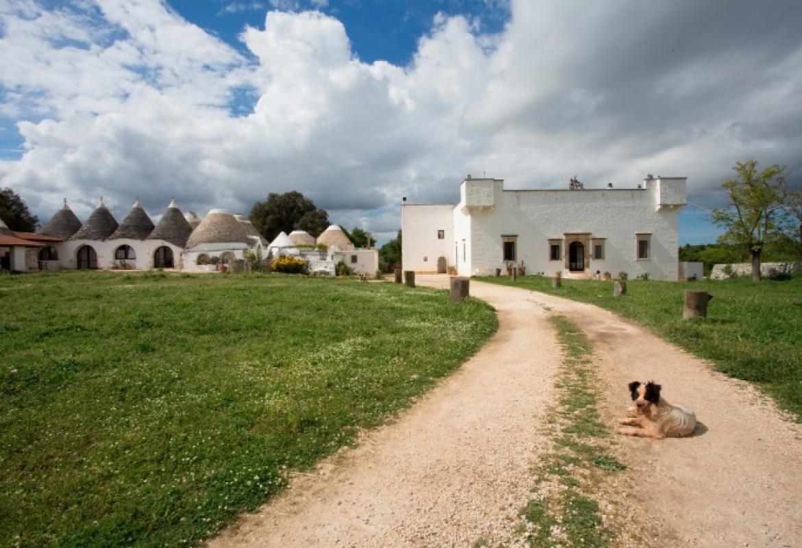 Puglia gialla e riaprono 22000 ristoranti, bar e agriturismi