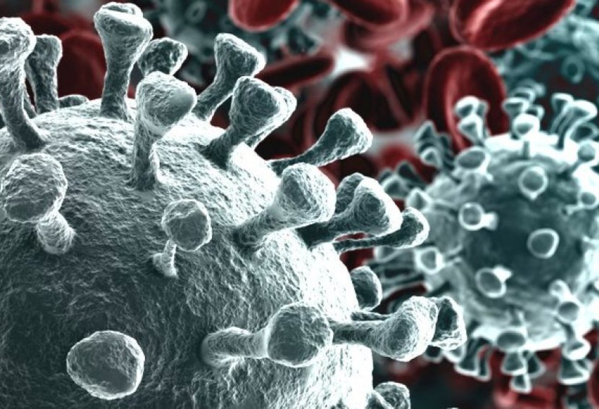 COVID-19. Nel Salento il 10% (85) dei nuovi casi pugliesi (850)