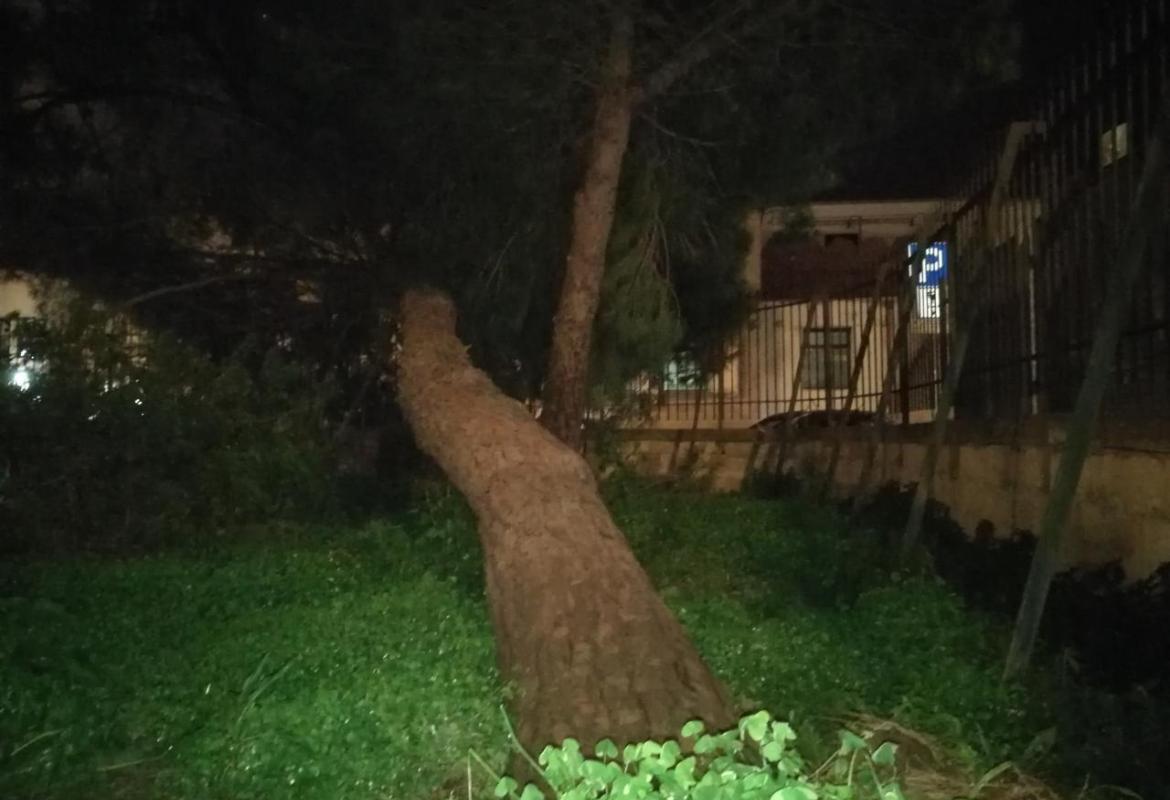 Rischio neve e vento forte, Allerta Arancione e Gialla della Protezione Civile pugliese