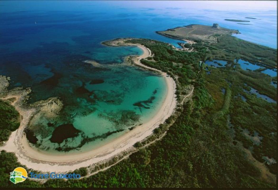 Torre Guaceto è anche un importante sito archeologico 