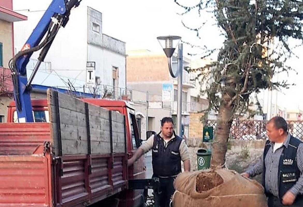 Grazie all'impegno di alcuni amici del Rione Italia, è rispuntato &quot;Natalino&quot;