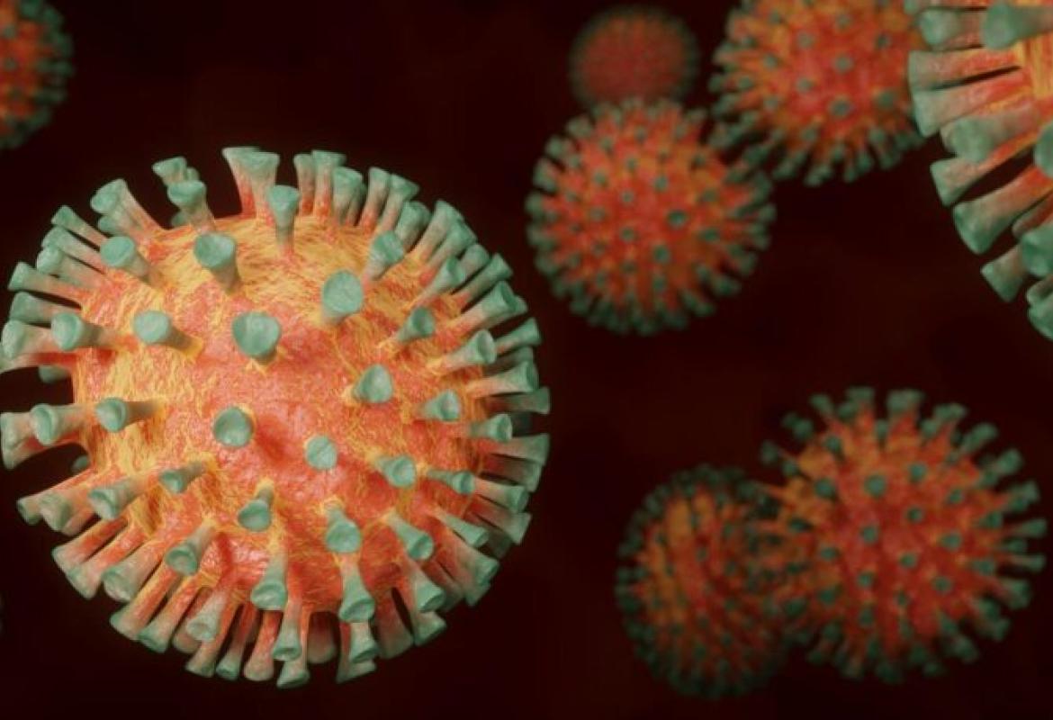 COVID-19. Al 16% il tasso di positività in Puglia