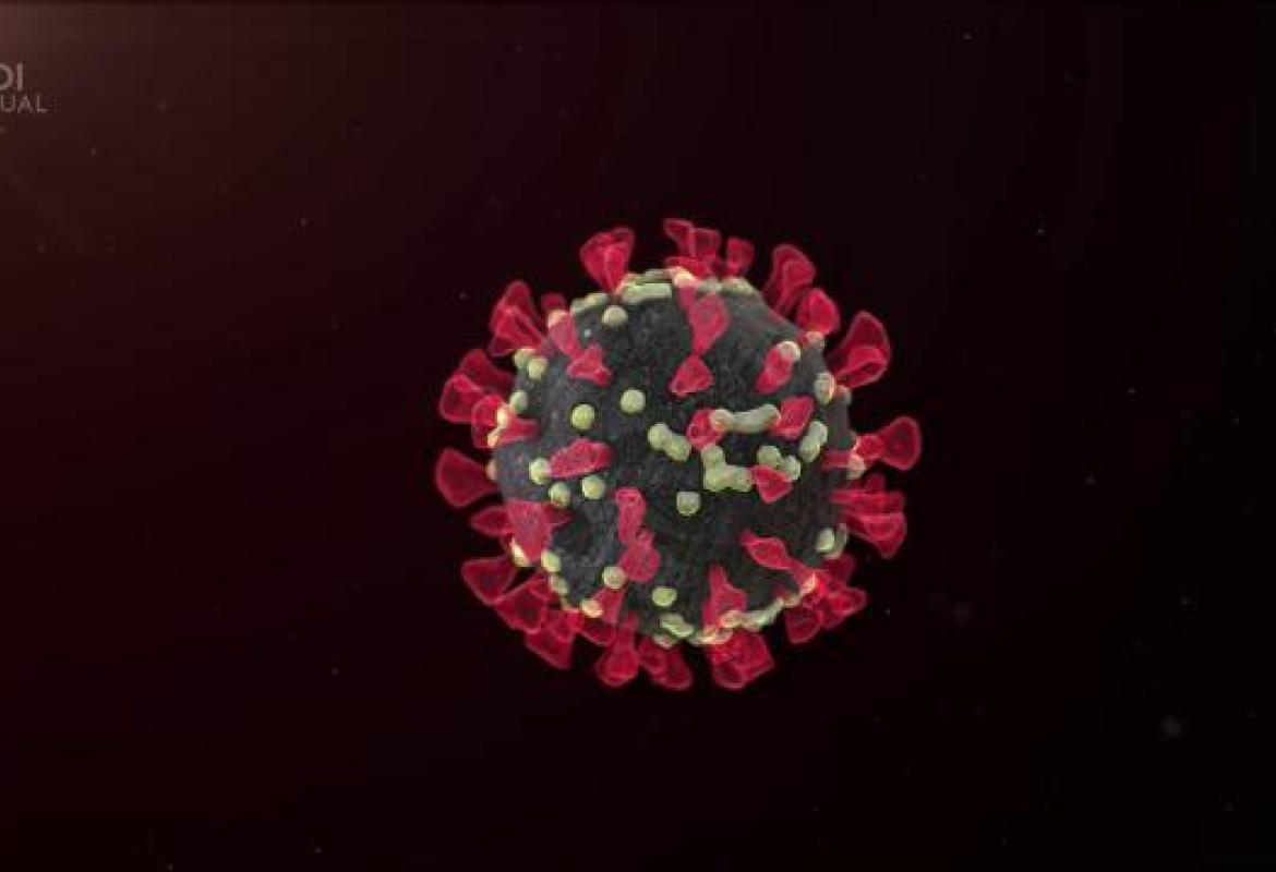 COVID-19. Anche a Pasqua il virus non molla: 1628 nuovi casi in Puglia, 231 in provincia di Lecce