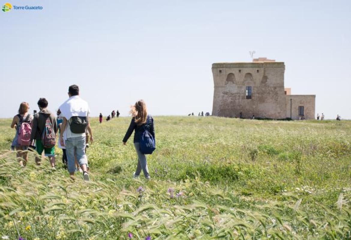 Volontari per la riserva di Torre Guaceto, aperte le iscrizioni