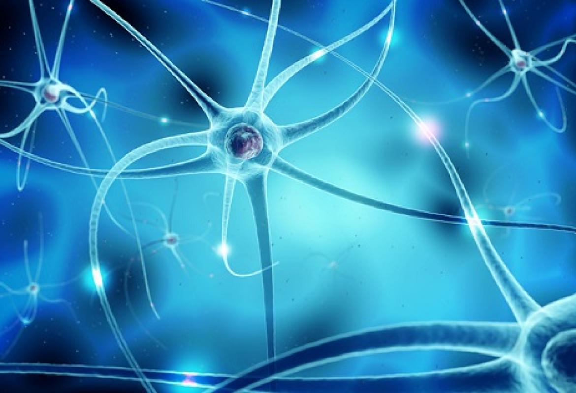 Atrofia muscolare spinale: nuove conoscenze