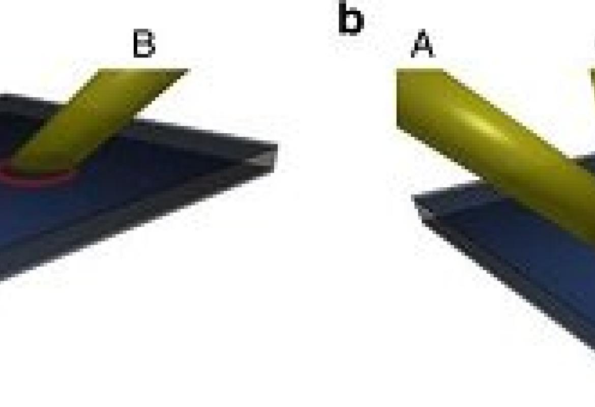 Il futuro dei computer nasce anche nell'Università del Salento
