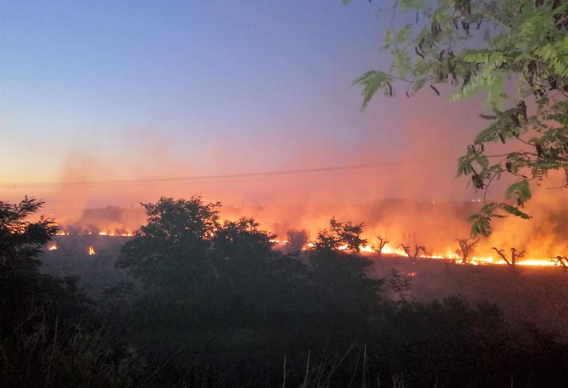 Fiamme nelle campagne di Collemeto e nella zona industriale di Galatina-Soleto