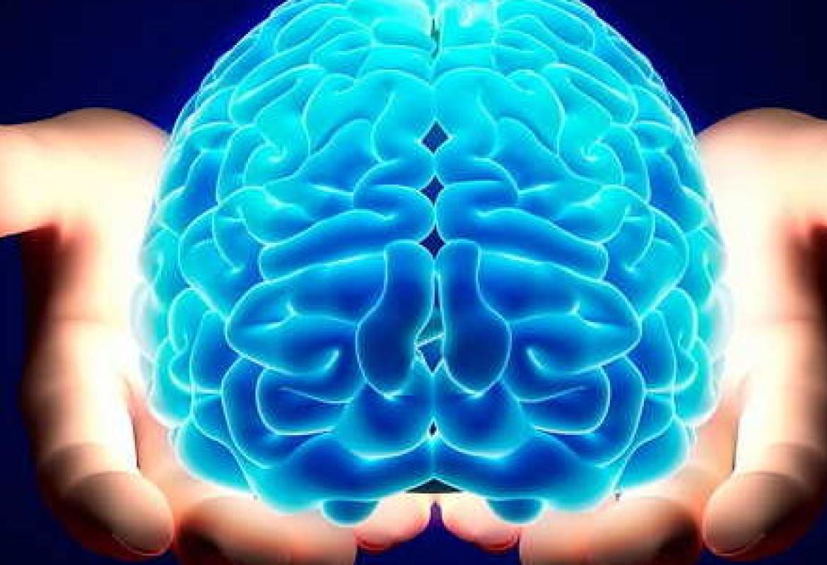 “Il cervello è l’organo del corpo che in assoluto consuma più energia"