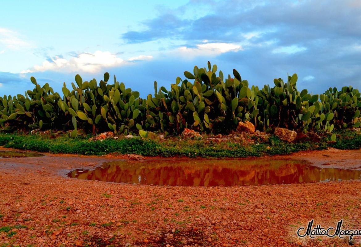 Una foto per il Salento