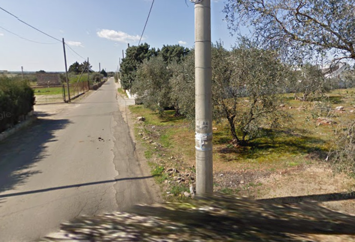 Strada comunale Roncella prima. "Ci scusiamo con il proprietario. Anche a noi dispiace che quegli alberi vengano estirpati"