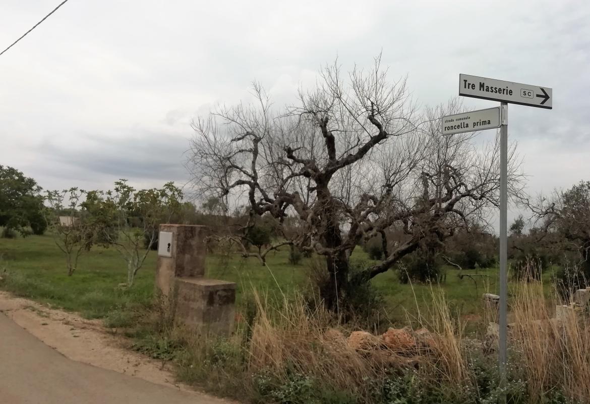 Strada Roncella prima: "Siamo sempre in attesa di risposte concrete dall'Amministrazione comunale"
