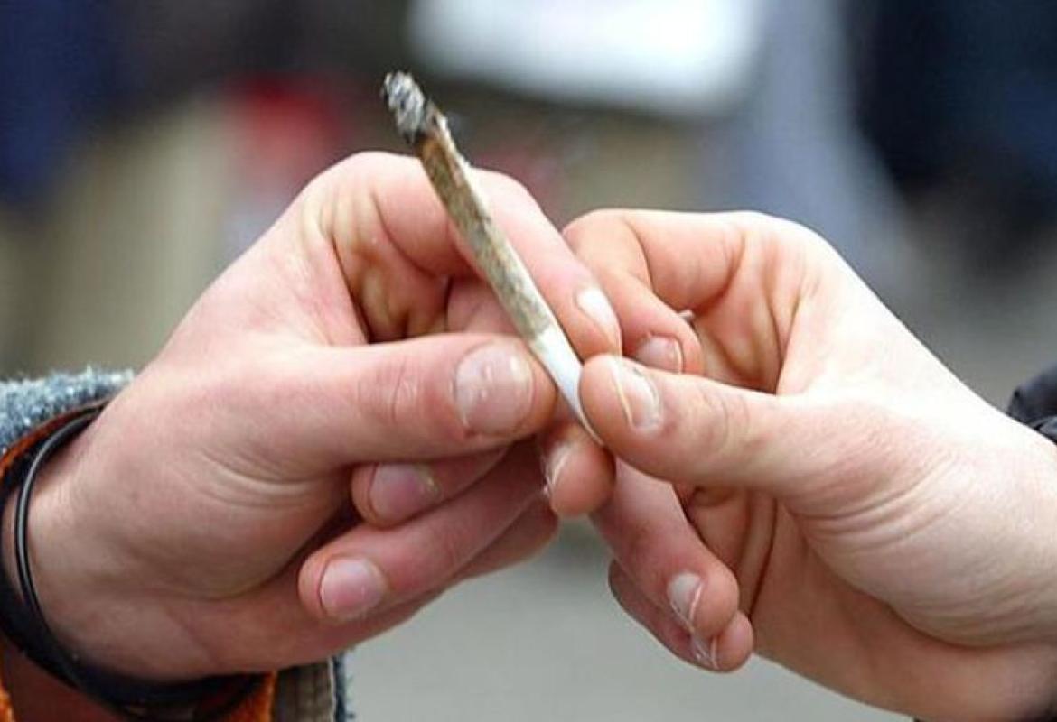 La cannabis, le leggi e i giovani