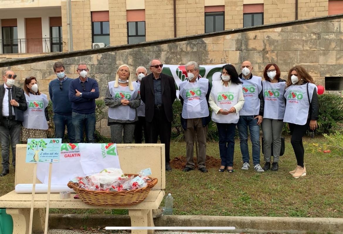 Piantumato in Ospedale a Galatina un melograno simbolo del volontariato
