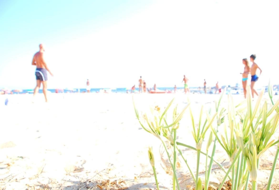 'Cromatismi' di Sara De Carlo nel Palazzo della Cultura