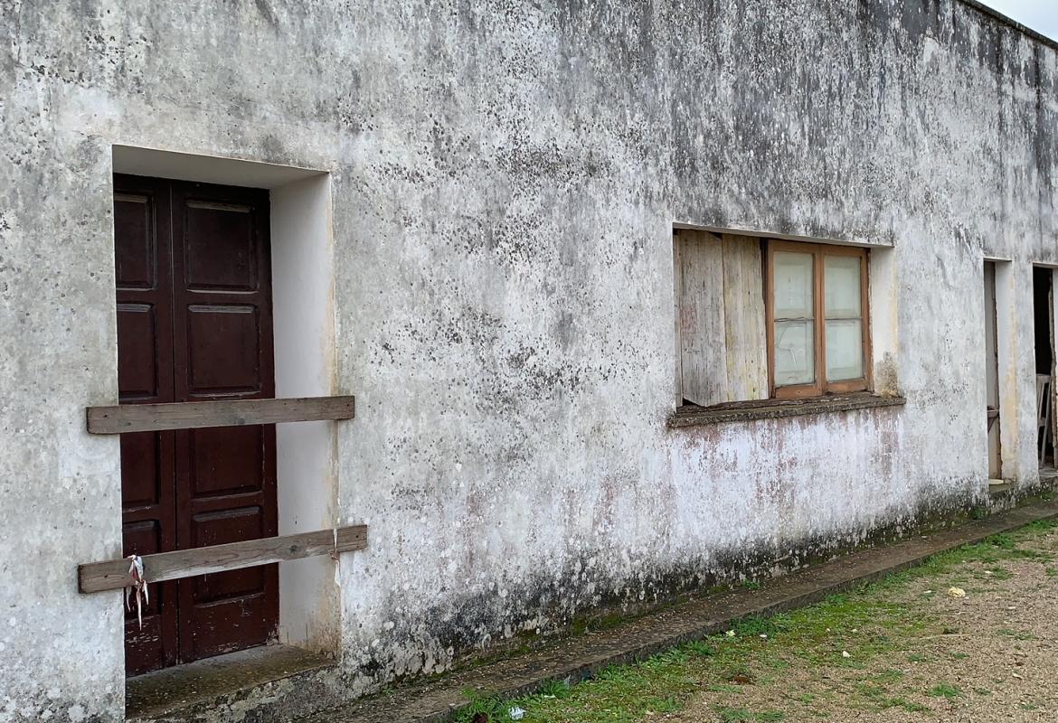 "Città d'arte e del pasticciotto ma con uno dei suoi cimiteri in stato di abbandono"