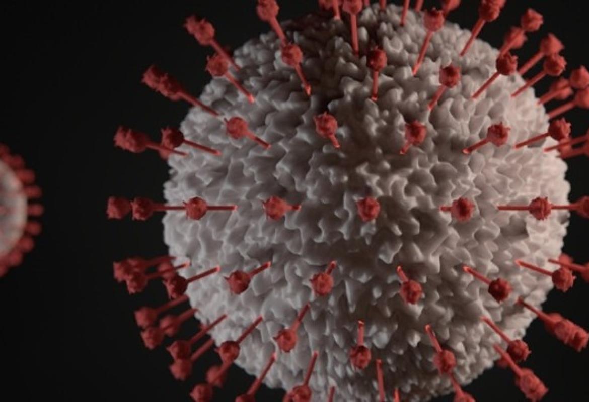 Il figlio positivo al covid per due volte a distanza di un mese e la Asl Lecce non contatta la mamma 