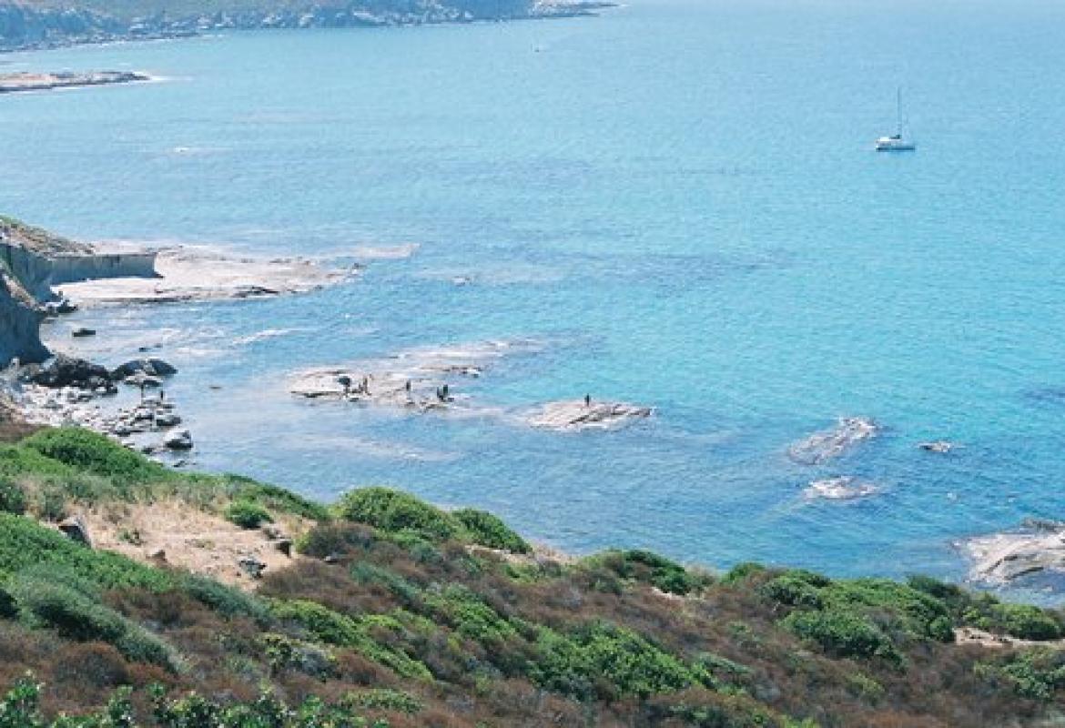 Tre giovani marinai (uno è di Cutrofiano) si tuffano nel mare in tempesta e salvano due bagnanti