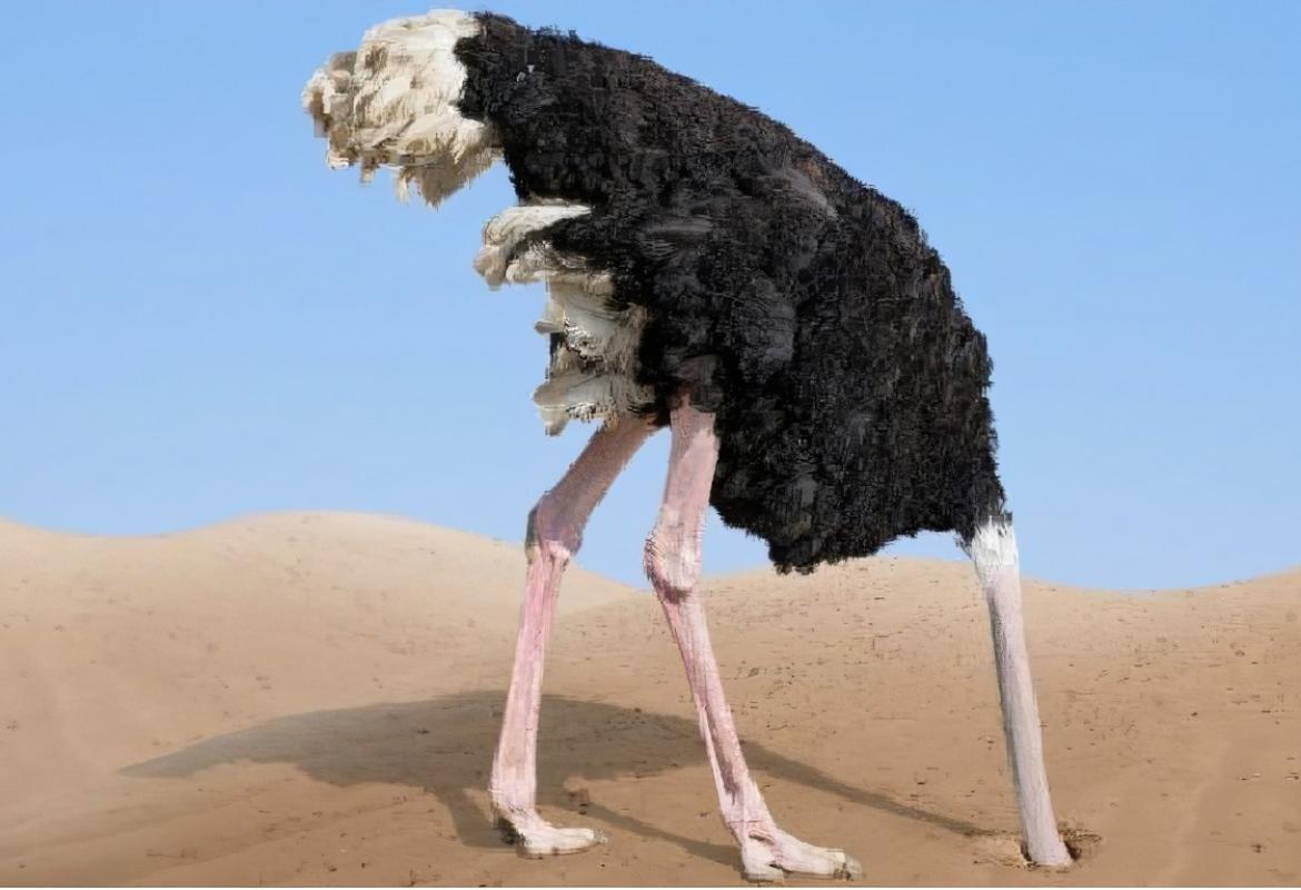 Elezioni provinciali: &quot;l'amministrazione Amante ha preferito mettere la testa sotto la sabbia&quot;