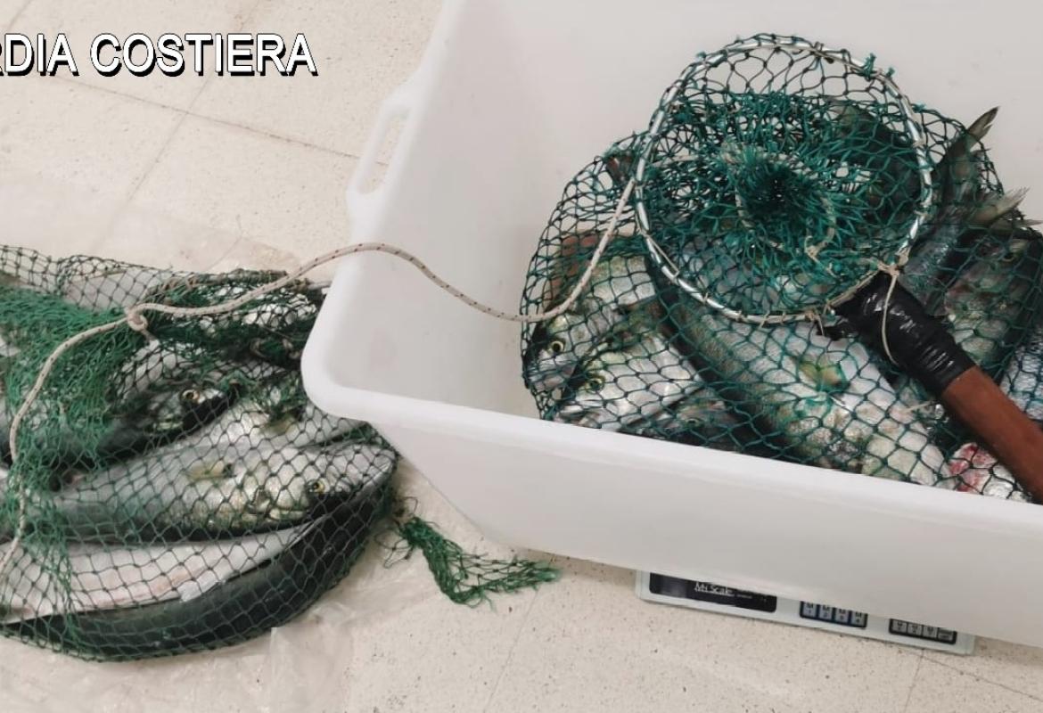 Sequestrati 40 kg di pesce e multati ad Otranto i pescatori di frodo