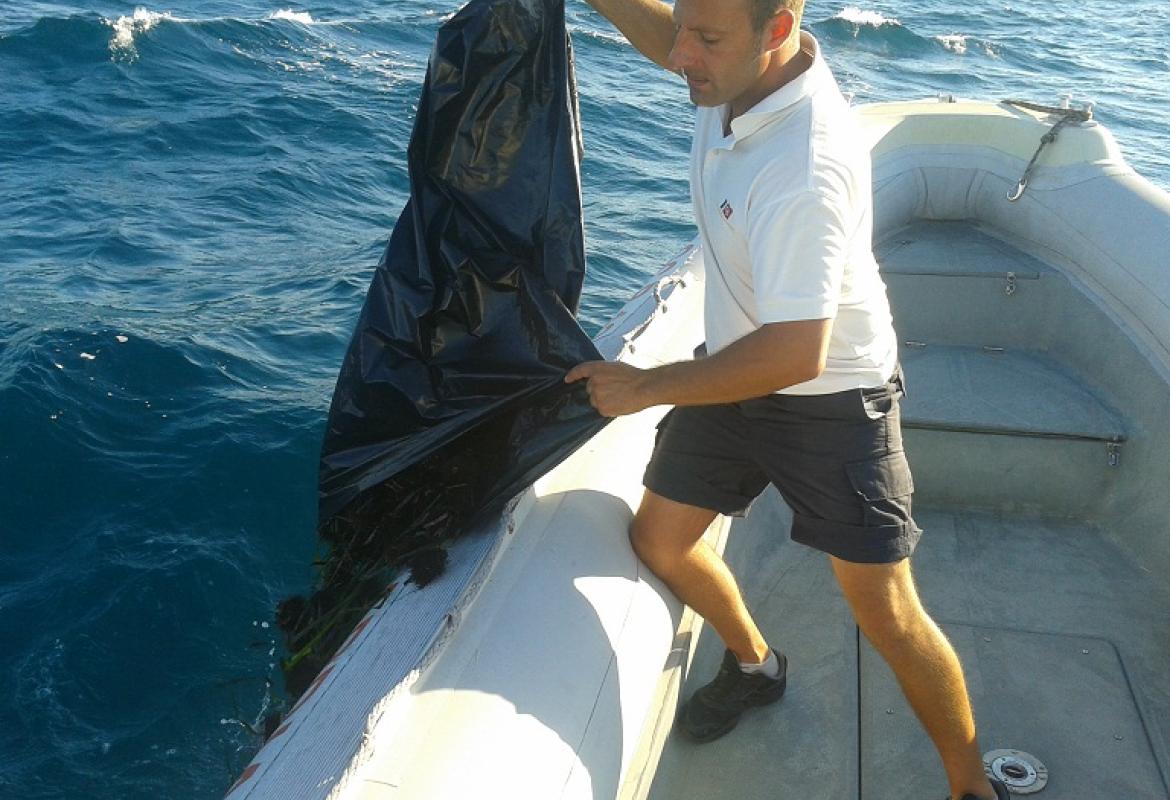 Sub raccoglie 150 ricci con le bombole, 4000 euro di multa e il sequestro dell'attrezzatura