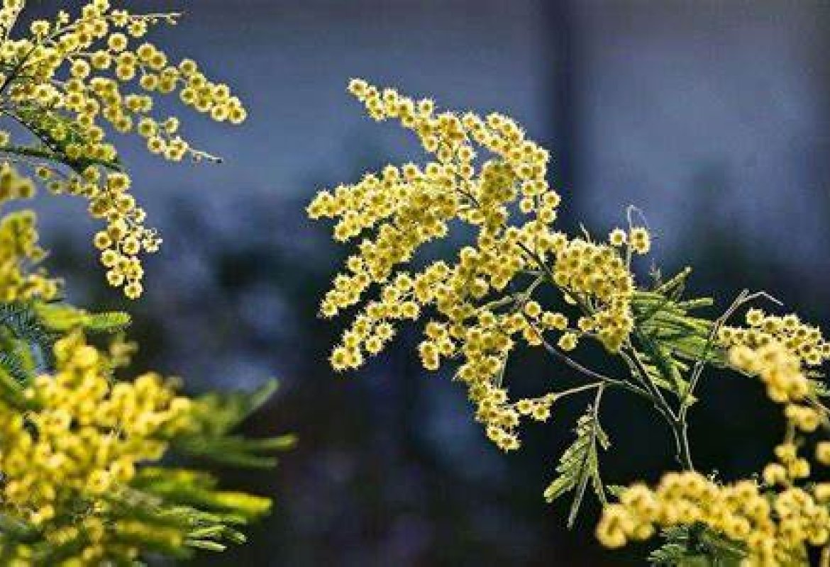 Non c'è niente da festeggiare