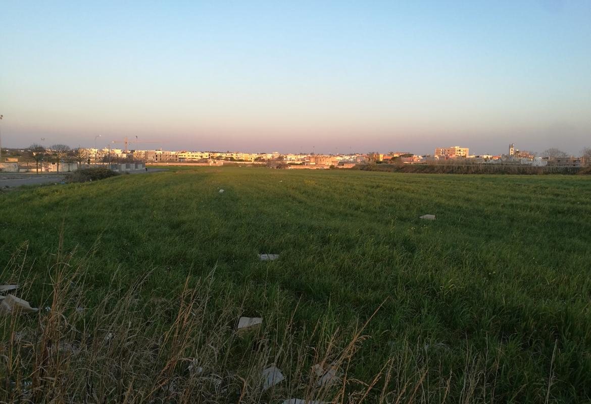 Giornalismo e propaganda