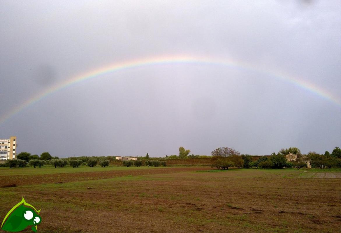 "Per Galatina solo i colori dell'arcobaleno"