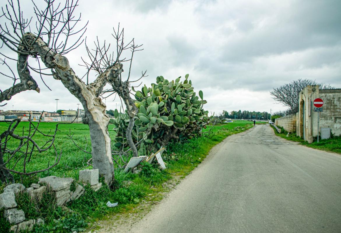 “Ponte Picaleo: lasciate ogni speranza voi ch’entrate”