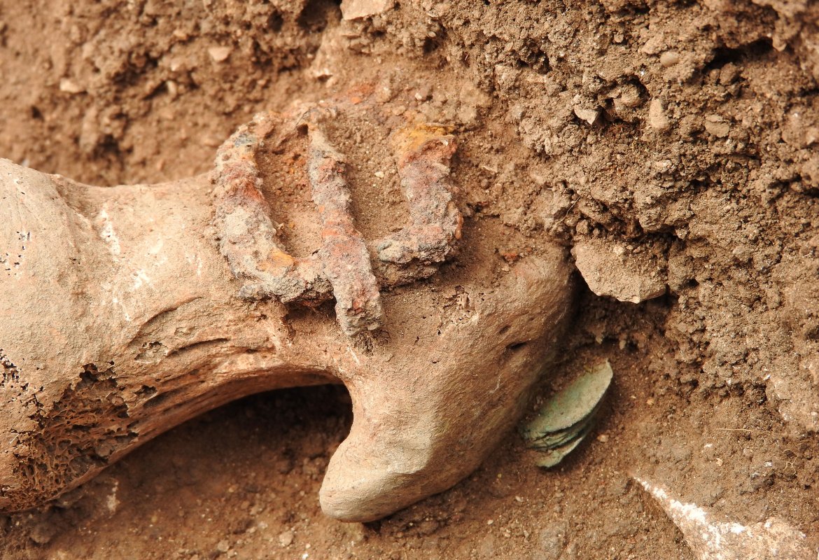 “Monete intoccabili. I gruzzoli di monete di due morti di peste nella Puglia settentrionale del XIV secolo. L’apporto delle analisi del DNA”