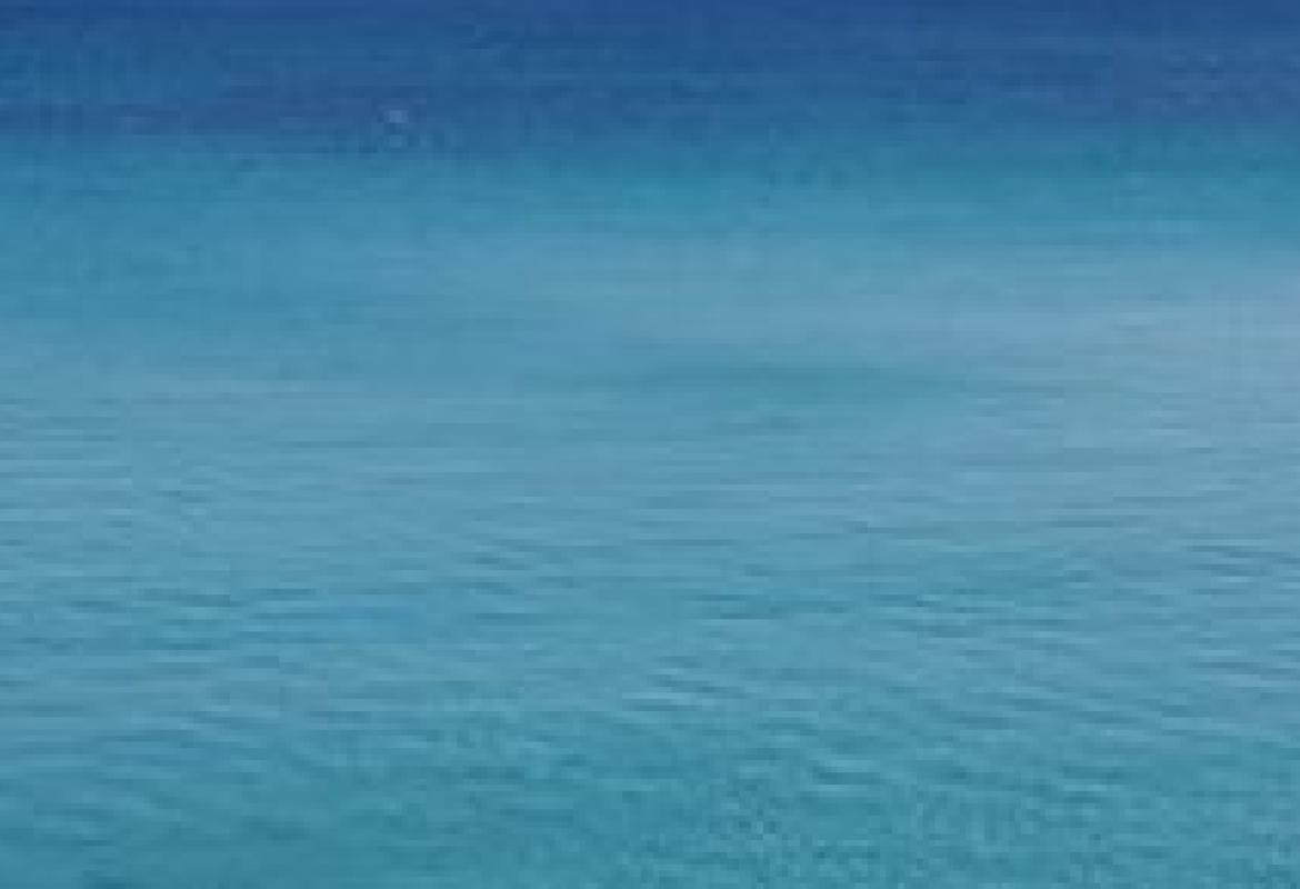 Nuove prospettive di intervento terapeutico per la prevenzione e la cura dell'Alzheimer 