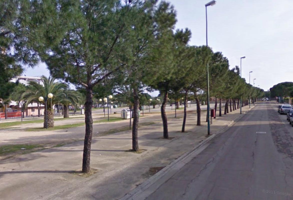 'Verrà ripristinata la pubblica illuminazione alla 167. Vogliamo sapere chi ha portato la Fiera al dissesto"